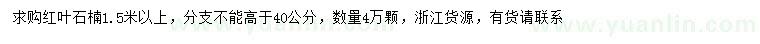 求購1.5米以上紅葉石楠