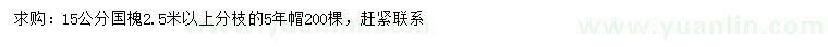 求購15公分國槐