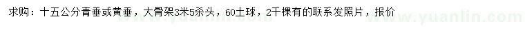 求購15公分青垂、黃垂