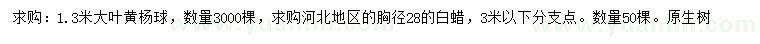 求購(gòu)1.3米大葉黃楊球