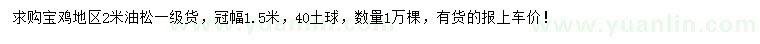 求購2米油松