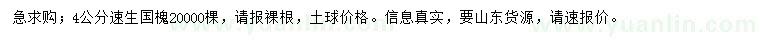 求購4公分速生國槐