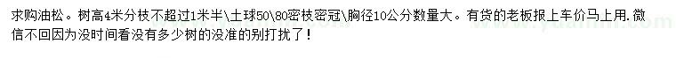 求購高4米油松