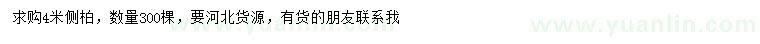 求購4米側(cè)柏