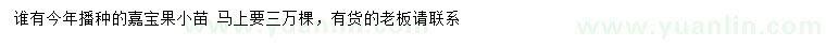 求購嘉寶果小苗