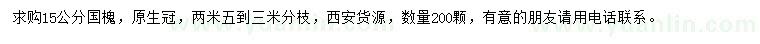 求購(gòu)15公分國(guó)槐