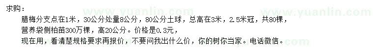 求購(gòu)30量8公分臘梅、高20公分側(cè)柏