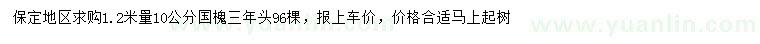 求購1.2米量10公分國(guó)槐