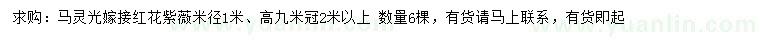 求購(gòu)米徑1米紅花紫薇