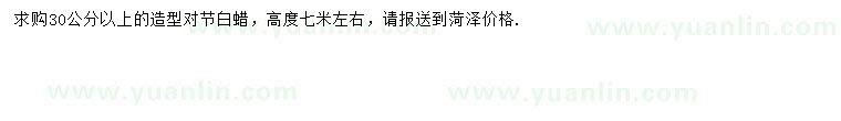 求購30公分以上造型對節(jié)白蠟