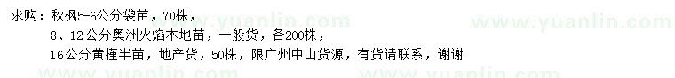 求購秋楓、澳洲火焰木、黃槿