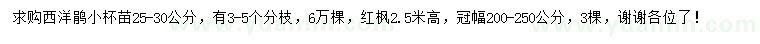 求購25-30公分西洋鵑、高2.5米紅楓