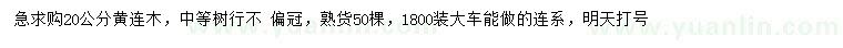 求購(gòu)20公分黃連木