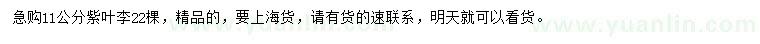 求購11公分紫葉李