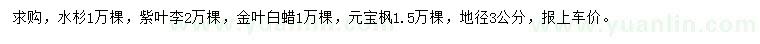 求購水杉、紫葉李、金葉白蠟等