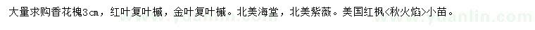 求購(gòu)香花槐、紅葉復(fù)葉槭、金葉復(fù)葉槭