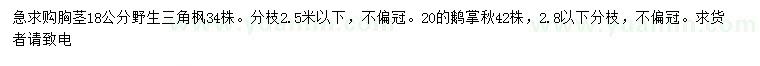 求購胸徑18公分三角楓、20公分鵝掌楸