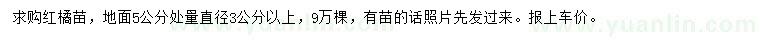 求購(gòu)5量3公分以上紅橘苗