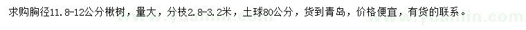 求購(gòu)胸徑11.8-12公分楸樹