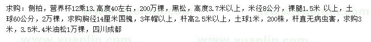 求購側柏、黑松、國槐等