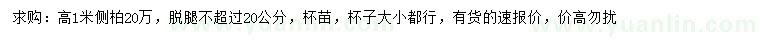 求購高1米側(cè)柏