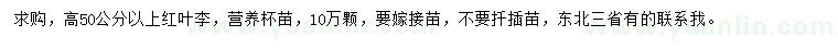 求購(gòu)高50公分以上紅葉李