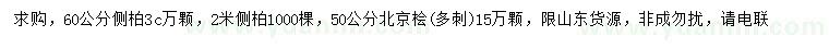 求購60公分、2米側(cè)柏、50公分北京檜