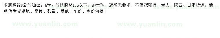 求購(gòu)胸徑9公分油松