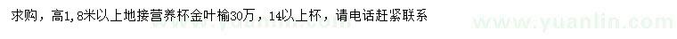 求購高1.8米以上地接金葉榆