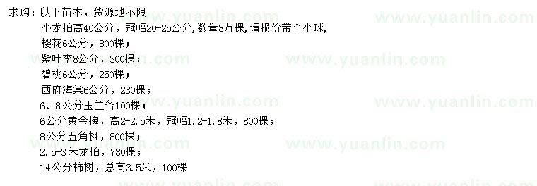 求購小龍柏、櫻花、紫葉李等