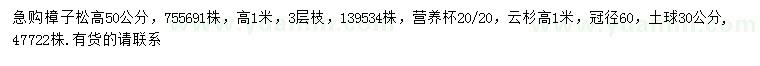 求購高50公分、1米樟子松、1米云杉