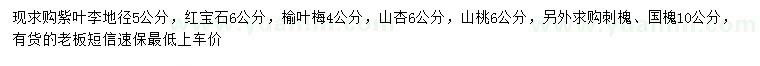 求購(gòu)紫葉李、紅寶石海棠、榆葉梅等