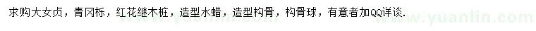 求購大葉女貞、青岡櫟、紅花繼木樁等