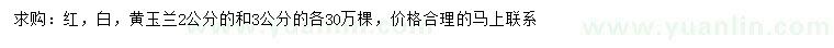 求購紅玉蘭、白玉蘭、黃玉蘭