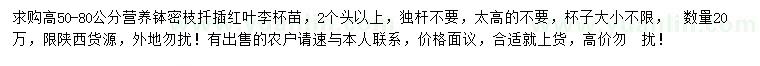 求購(gòu)高50-80公分紅葉李