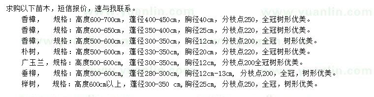 求購香樟、樸樹、廣玉蘭等