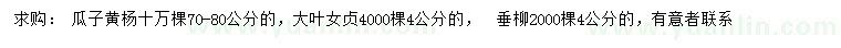 求購瓜子黃楊、大葉女貞、垂柳