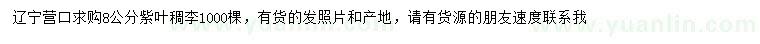 求購(gòu)8公分紫葉稠李