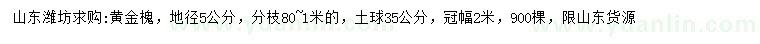 求購地徑5公分黃金槐
