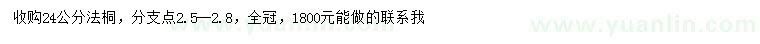 求購(gòu)24公分法桐
