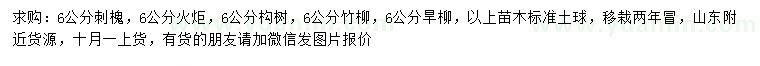 求購刺槐、火炬樹、構(gòu)樹等