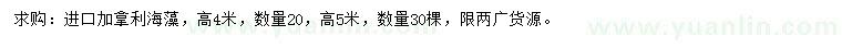 求購高4、5米加拿利海藻