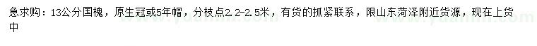 求購13公分國槐