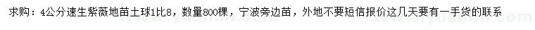 求購4公分速生紫薇