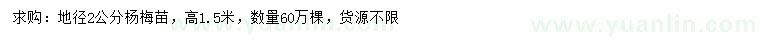 求購地徑2公分楊梅苗