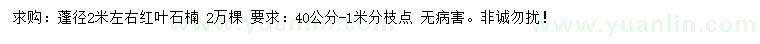 求購蓬徑2米左右紅葉石楠