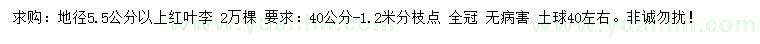 求購(gòu)地徑5.5公分以上紅葉李
