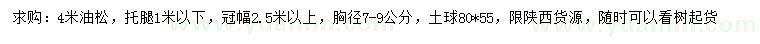 求購4米油松