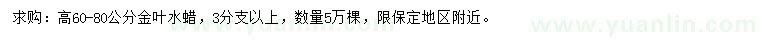 求購(gòu)高60-80公分金葉水蠟