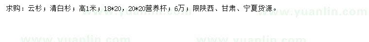 求購高1米云杉